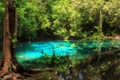 Blue pool at Emerald Pool is unseen pool in mangrove forest at K Royalty Free Stock Photo