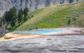 Blue pool geyser - Mound Spring in Yellowstone Park. Mammoth Hot Springs area. Closeup.