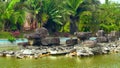 Blue Pool With Stones Among Bright Plants and Flowers.