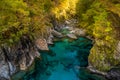 Blue Pools, New Zealand Royalty Free Stock Photo