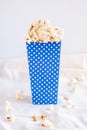 Blue popcorn bucket with dots full of popcorns isolated on white with corn and popcorns. Cinema and theatre promo concept