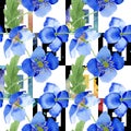 Blue poppy floral botanical flowers. Watercolor illustration set. Seamless background pattern.