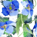 Blue poppy floral botanical flowers. Watercolor illustration set. Seamless background pattern.