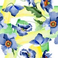 Blue poppy floral botanical flowers. Watercolor background illustration set. Seamless background pattern.