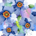 Blue poppy floral botanical flowers. Watercolor background illustration set. Seamless background pattern.