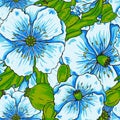 Blue poppy flowers pattern