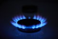 Blue propane gas flame. Burning gas. Kitchen stove burner. Natural gas market concept image with copyspace Royalty Free Stock Photo