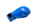 Blue protective boxing glove