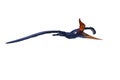 Blue Pteranodon with orange and black crest gliding. 3D illustration isolated on white with clipping path