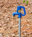 Blue Pump Handle