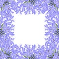 Blue Purple Agapanthus Border - Lily of the Nile, African Lily. Vector Illustration. isolated on White Background