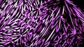 Blue and purple background with hypnotic effect. Design. A brilliant bright background made by walls in animation that