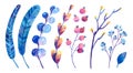 Blue and purple cosmic plants with symbols of stars and the moon. Feathers, flowers, leaves, berries.