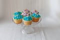 Blue and Purple frosted cupcakes decorated with gold dust