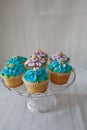 Blue and Purple frosted cupcakes decorated with gold dust