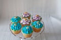 Blue and Purple frosted cupcakes decorated with gold dust