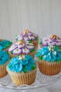 Blue and Purple frosted cupcakes decorated with gold dust