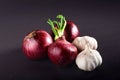 Blue purple onion and garlic isolated white on a black background Royalty Free Stock Photo