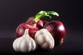 Blue purple onion and garlic isolated white on a black background Royalty Free Stock Photo