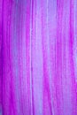 Blue Purple Paint Splats and Abstract Background Decoration