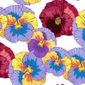 Blue and purple pansy on a dark background. Seamless vector pattern. Hand drawing flowers illustration Royalty Free Stock Photo