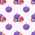 Blue and purple round fig fruit seamless pattern on light background. Royalty Free Stock Photo