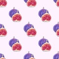 Blue and purple round fig fruit seamless pattern on light background. Royalty Free Stock Photo