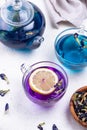 Blue and purple tea Butterfly pea