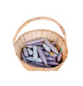 Blue and purple yarn bobbin spools of cotton thread in wood basket isolated on white background with clipping path Royalty Free Stock Photo