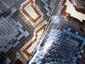 Blue python skin snake.