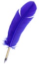 Blue Quill Royalty Free Stock Photo