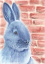 Blue rabbit closeup artwork portrait