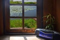 Blue radio near old window with lotus pond