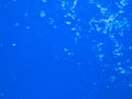 Blue raindrop background