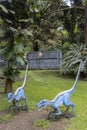 Blue Raptors at Kuoloa Ranch, Oahu