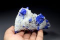 Blue Rare Lazurite Mineral Specimen Royalty Free Stock Photo