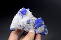 Blue Rare Lazurite Mineral Specimen Royalty Free Stock Photo