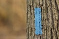 Trail Marker on Tree For Hikers Royalty Free Stock Photo