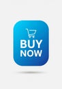 Blue rectangular button with rounded edges featuring a shopping cart icon above the text \