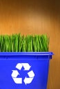 Blue recycle bin with grass inside