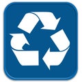 Blue recycling button