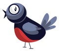 Blue and red christmas bird vector illustration on a Royalty Free Stock Photo