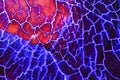 Blue Red Dragon Vein Agate Pattern Royalty Free Stock Photo