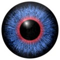 Blue - red eye iris Royalty Free Stock Photo