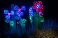 Blue and Red Neon Flowers at Night.