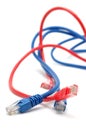 Blue and red network cables Royalty Free Stock Photo