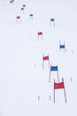 Blue and red ski gates for slalom Royalty Free Stock Photo
