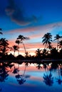 Blue and red sunset over sea beach with palms Royalty Free Stock Photo