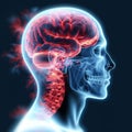 Blue and red x ray depicts medical anatomy of head pain Royalty Free Stock Photo