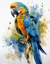 Blue, red and yellow macaw silhouette, full body, on white background with copy space